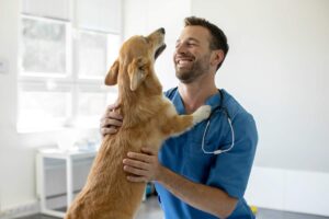 A person gently trimming a medium-sized dog's nail with a handheld pet nail clipper.